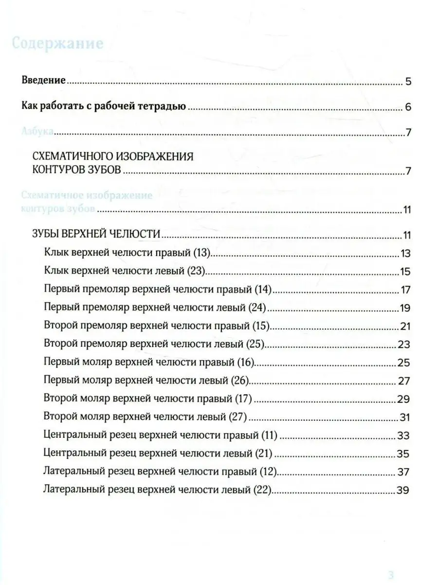 Схематичное изображение контуров зубов. Рабочая тетрадь:... Практическая  медицина 169038025 купить за 635 ₽ в интернет-магазине Wildberries