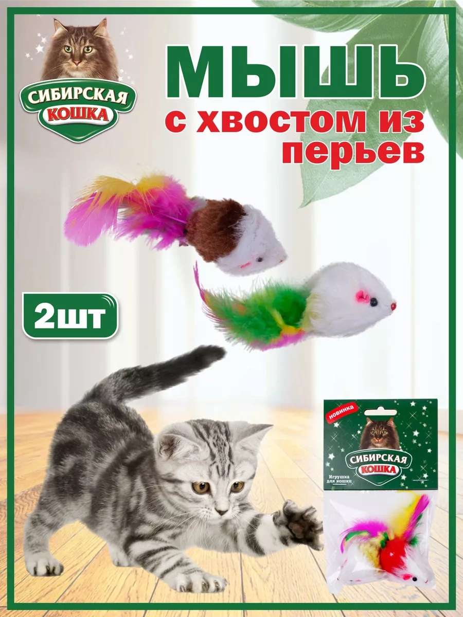 Сибирским Мышь 
