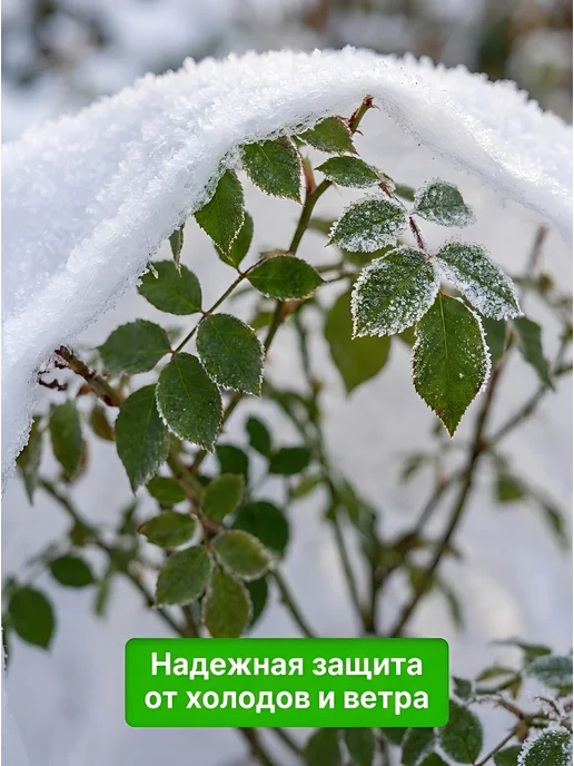 K-Stacy HOME Укрытие на зиму для роз, туй и растений геотекстиль спанбонд, серый, фото 6