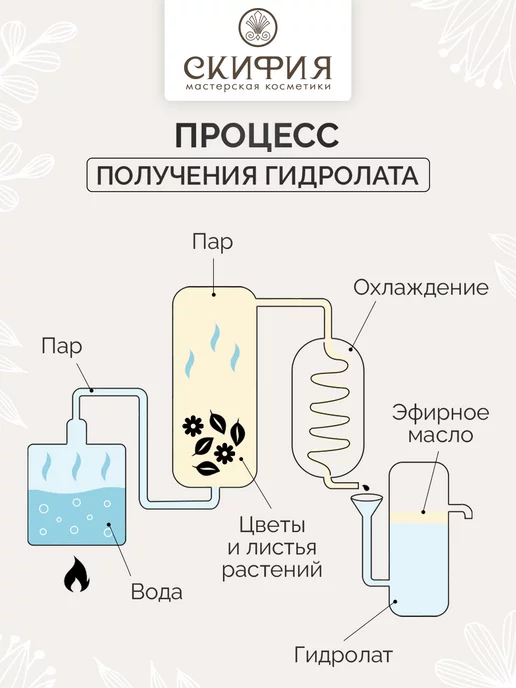 Скифия Гидролат шалфея для лица, вариант, фото 5