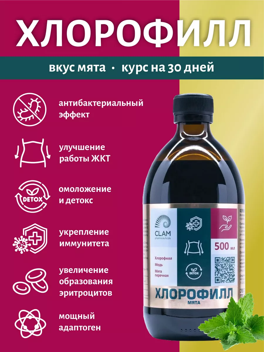 Хлорофилл жидкий пищевой 500 мл (Концентрат) вкус Мята ClamPharm 169120911  купить за 856 ₽ в интернет-магазине Wildberries