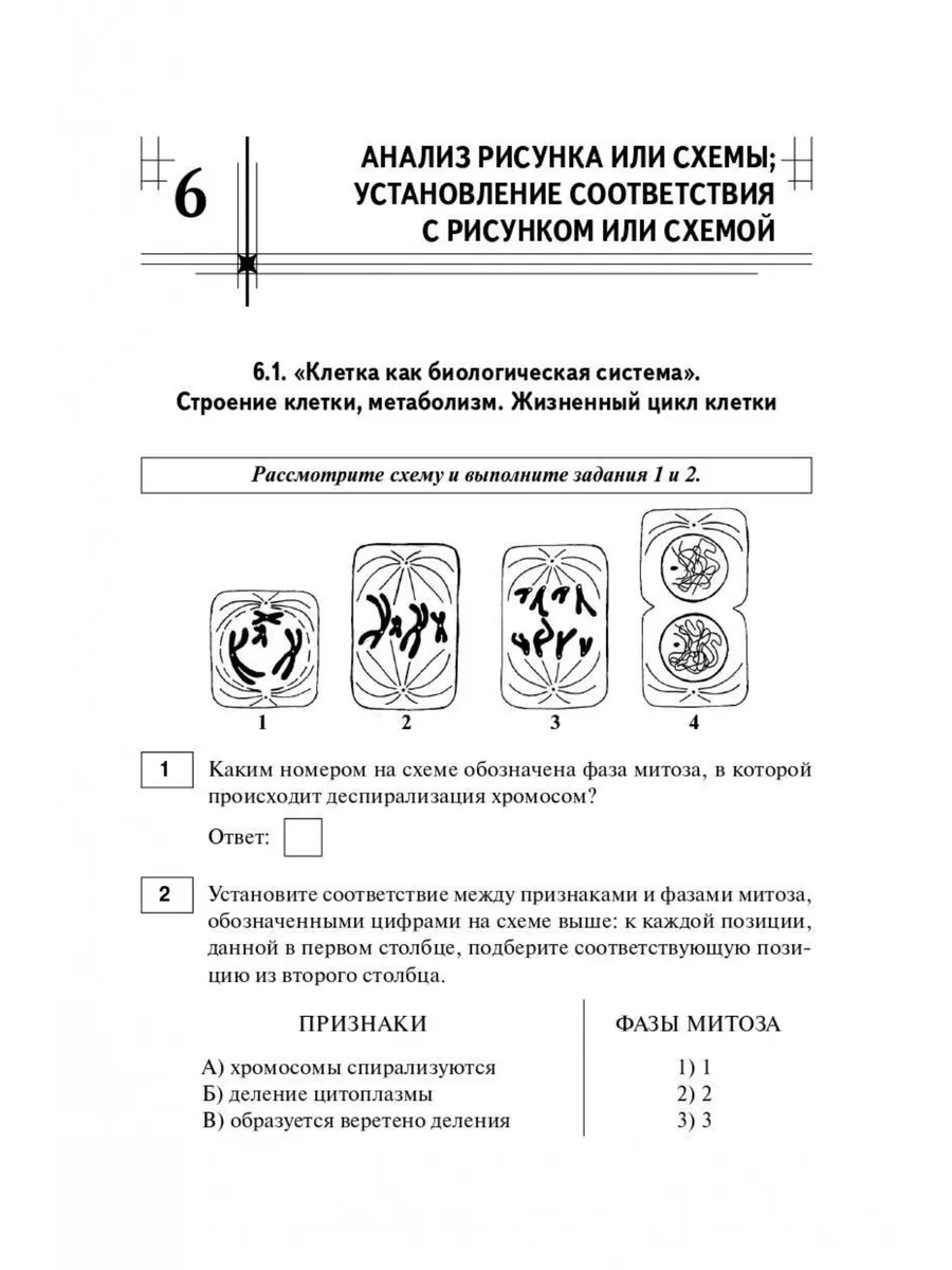 Биология. ЕГЭ 2025. Тематический тренинг. Все типы заданий ЛЕГИОН 169130237  купить за 418 ₽ в интернет-магазине Wildberries