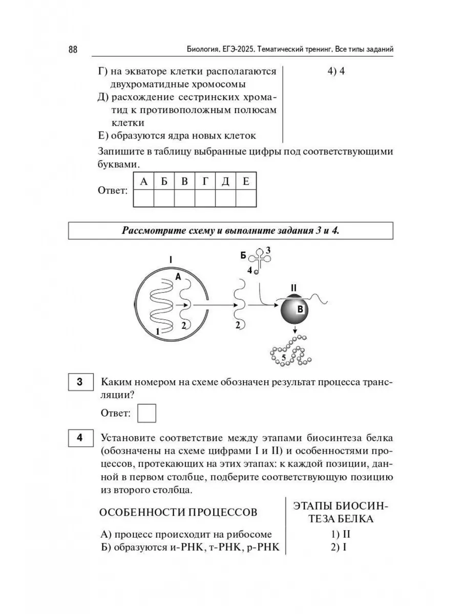 Биология. ЕГЭ-2024. Тематический тренинг. Все типы заданий ЛЕГИОН 169130237  купить в интернет-магазине Wildberries