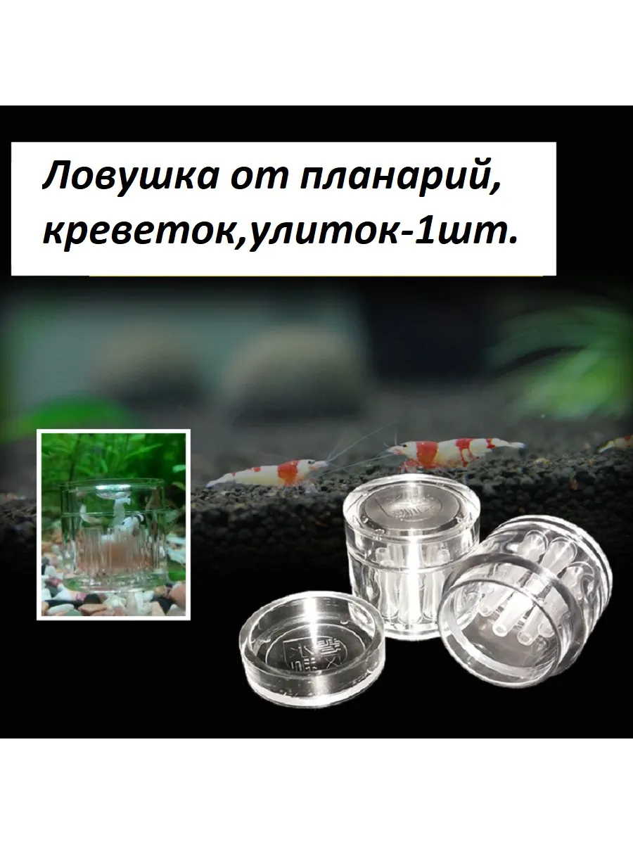 аксессуары для аквариума