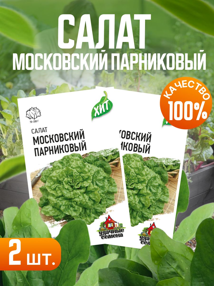 Сорт салата московский парниковый. Салат листовой Московский парниковый. Салат Московский парниковый. Московский парниковый листовой.