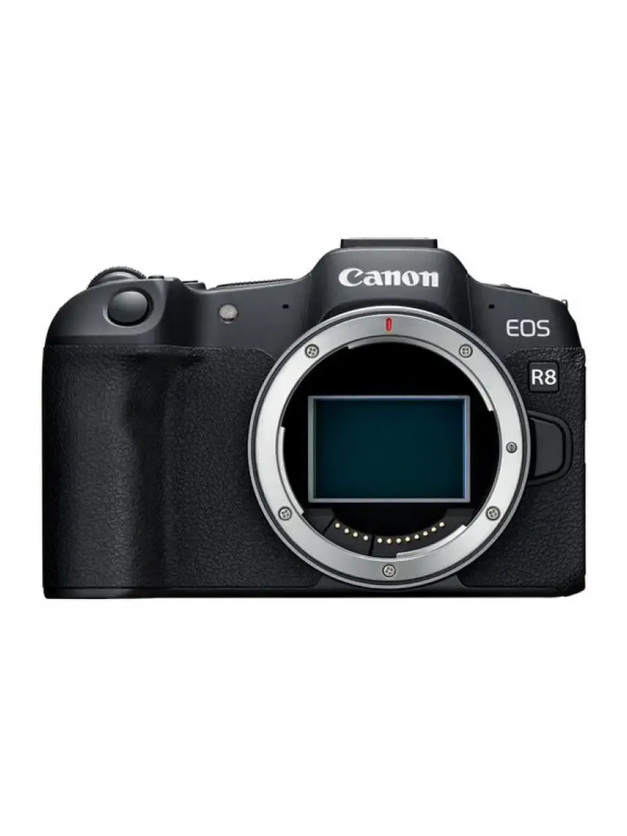 Фотоаппарат профессиональный беззеркальный Canon EOS R8 Body