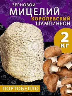 Мицелий шампиньон королевский зерновой (Портобелло) - 2 кг поГрибок 169287604 купить за 1 042 ₽ в интернет-магазине Wildberries