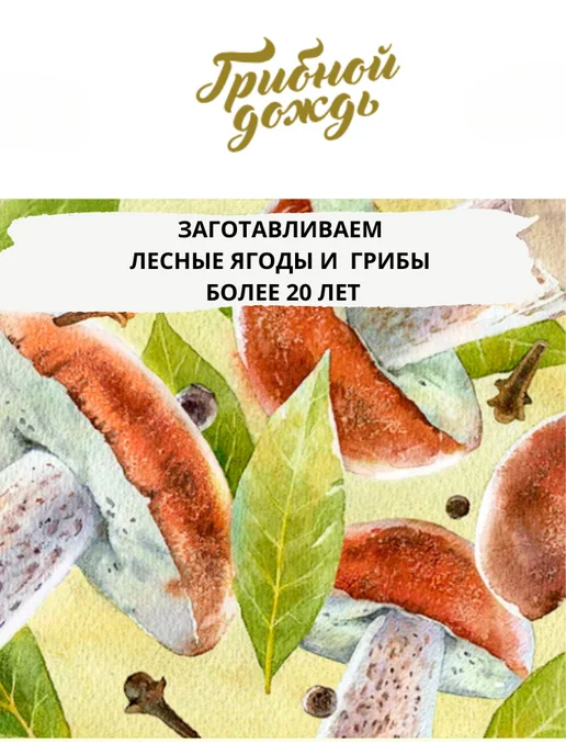 Грибной дождь Сушеные грибы лесные ассорти для супа 30 гр, 40 г, фото 2