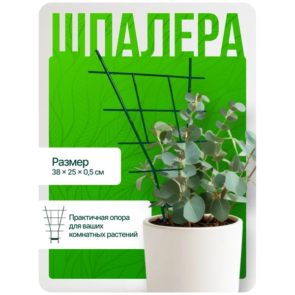 Шпалера для комнатных растений