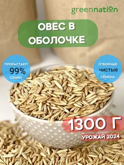 Овес в оболочке для заваривания и проращивания ОВЕС GREENNATION 169364397 купить за 159 ₽ в интернет-магазине Wildberries