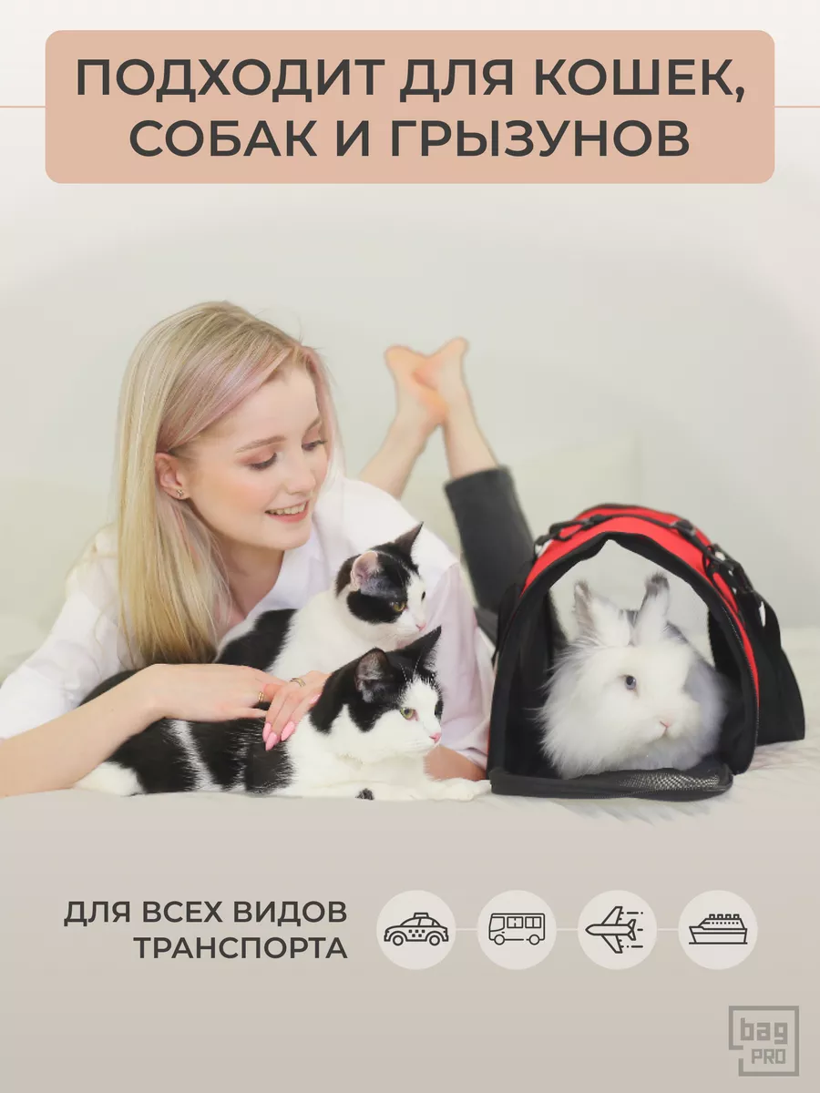 Сумка переноска для животных кошек и собак большая до 10 кг bag-PRO  169364815 купить в интернет-магазине Wildberries