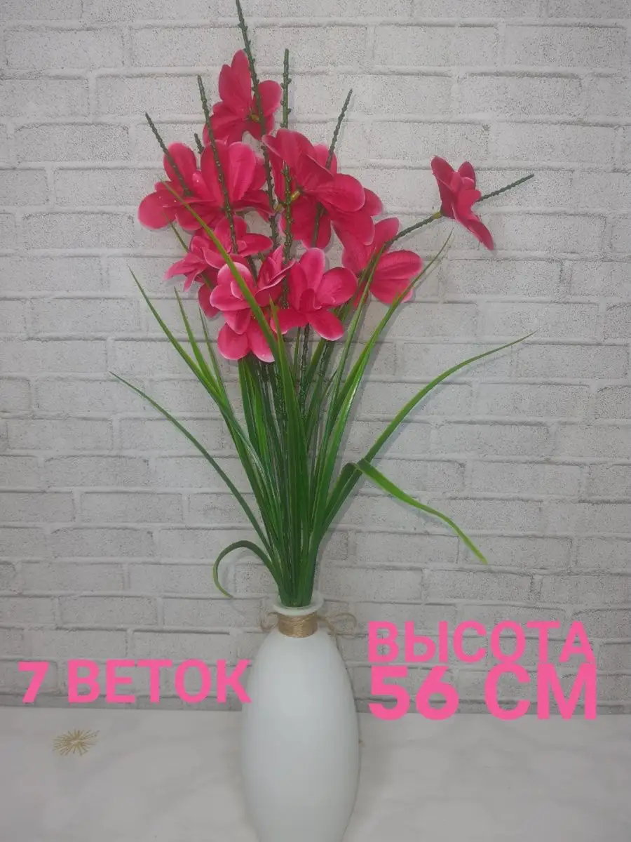 Купить саженцы многолетних цветов недорого интернет-магазин manikyrsha.ru
