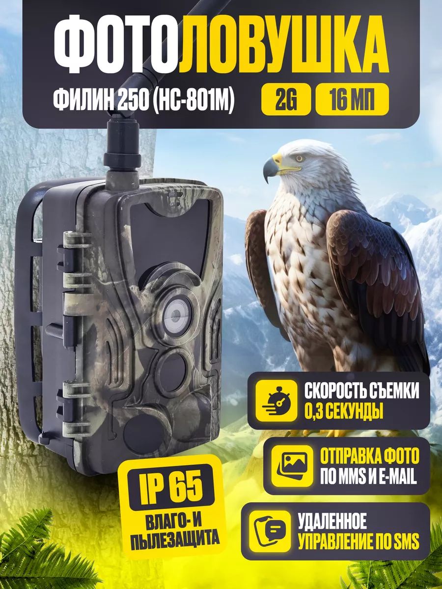 Настройка фотоловушки hc 801m. Фотоловушка Филин 250 4g HC-801lte. Фотоловушка Филин 250 ММС. HC 801 M/G. Смс команды фотоловушки HC-801m.