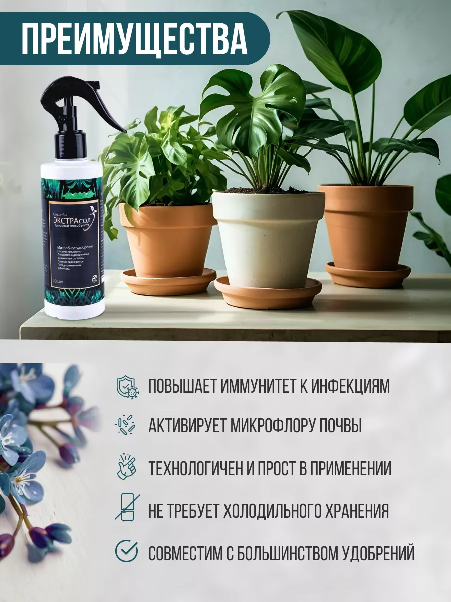 Чем подкормить комнатные цветы в домашних условиях - Советы и рекомендации цветоводов