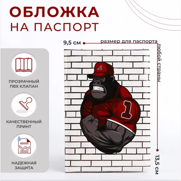Обложка для паспорта молодежная