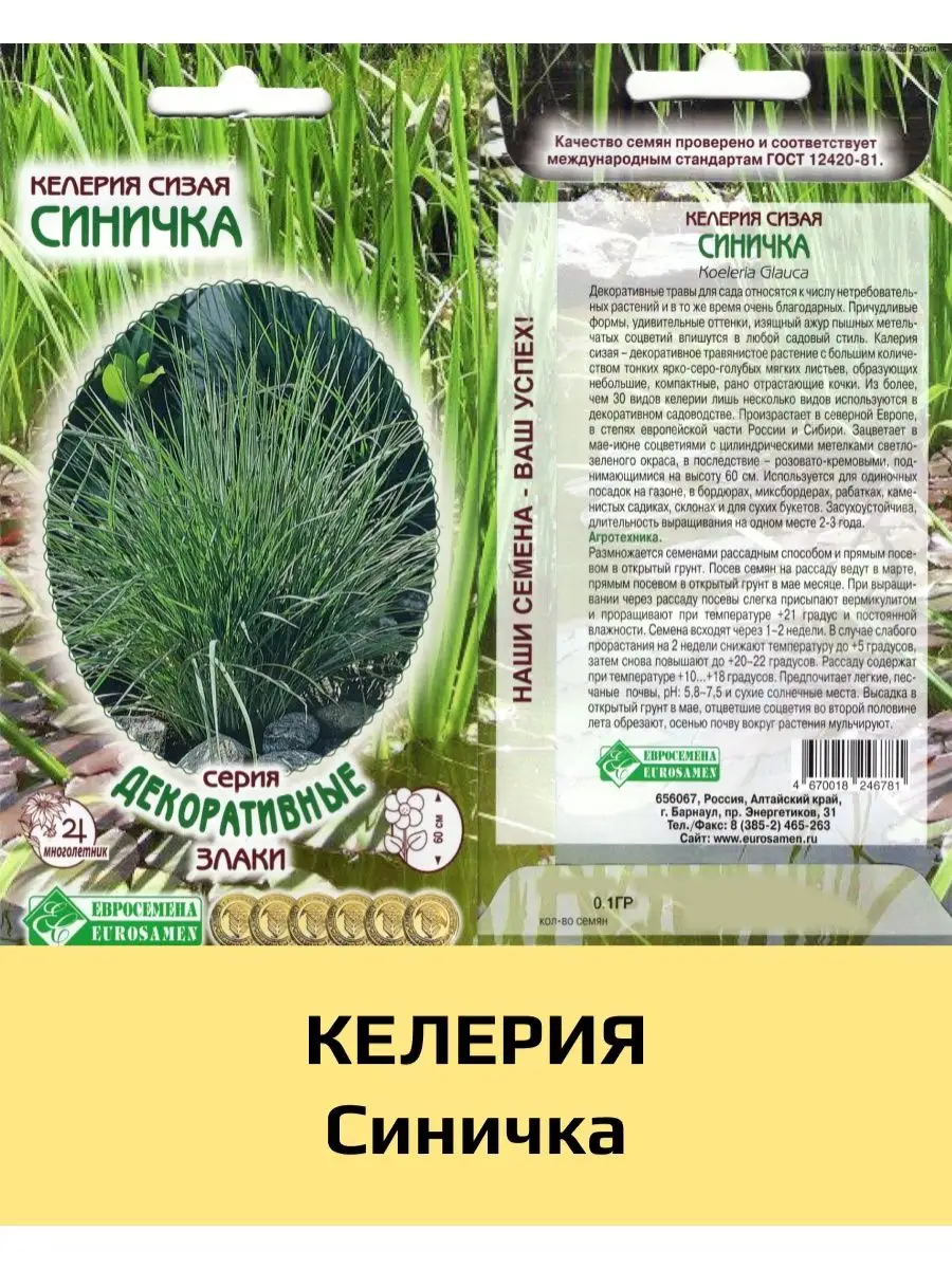 Семена Келерия Синичка, 1 уп ЕВРОСЕМЕНА 169524864 купить за 195 ₽ в  интернет-магазине Wildberries