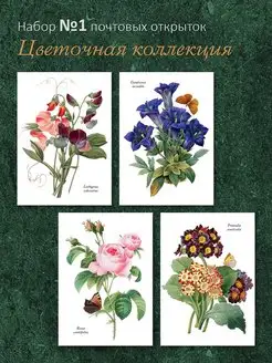 Почтовые открытки "Цветочная коллекция №1" для посткроссинга ЮФОЮ 169529973 купить за 497 ₽ в интернет‑магазине Wildberries