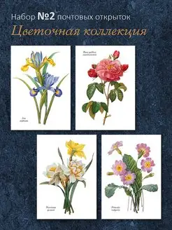 Почтовые открытки "Цветочная коллекция №2" для посткроссинга ЮФОЮ 169529974 купить за 497 ₽ в интернет‑магазине Wildberries