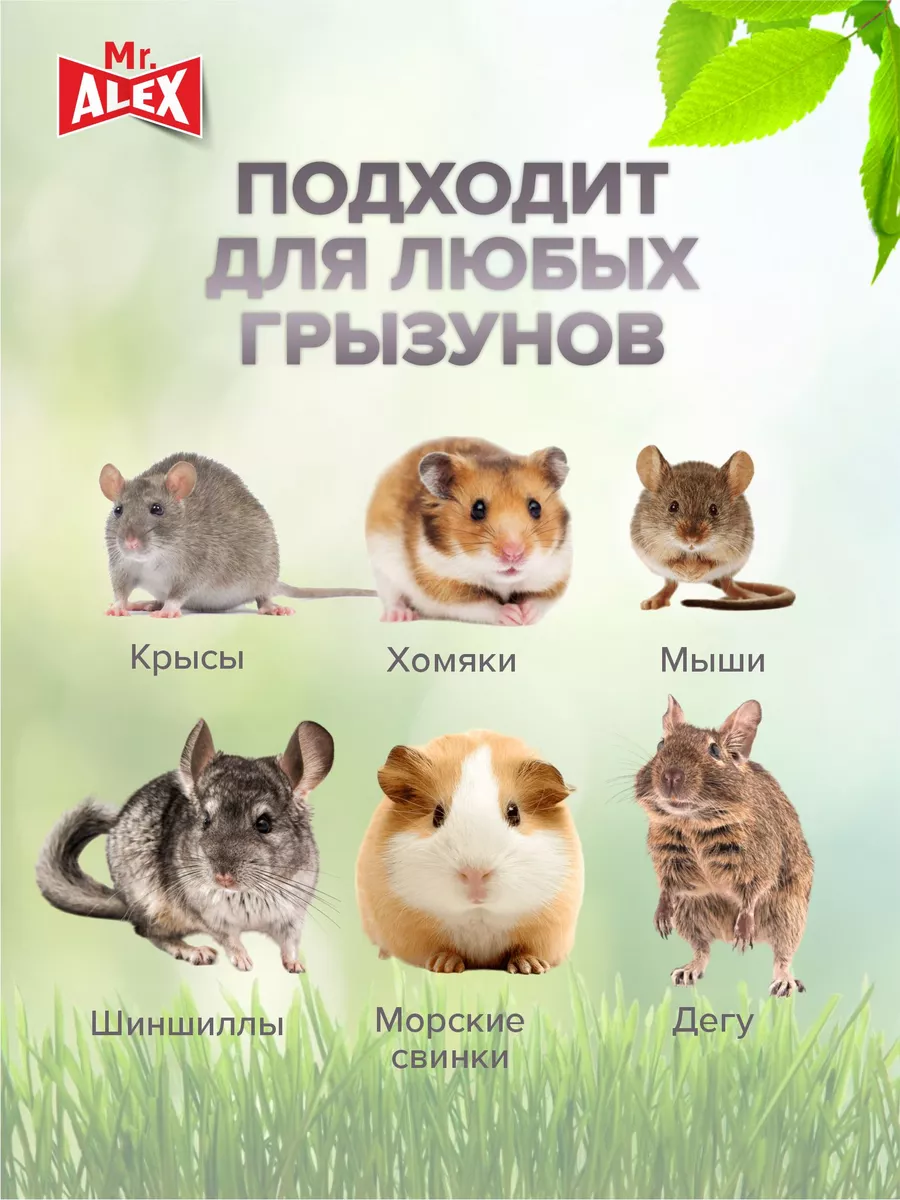 Студия сибирской мыши 