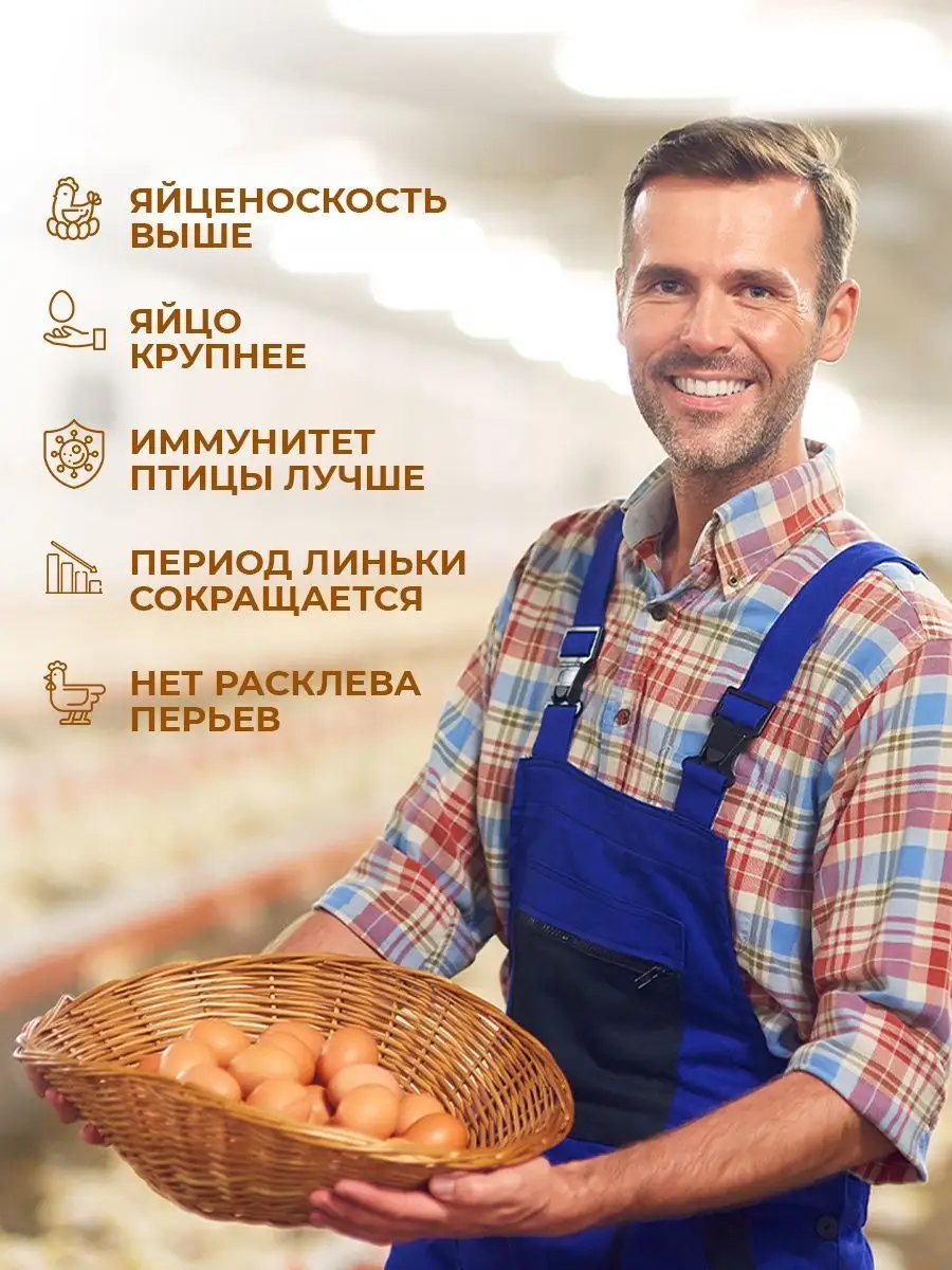 Белки и витамины для кур несушек, 6 кг Инпротеин 169570637 купить за 979 ₽  в интернет-магазине Wildberries