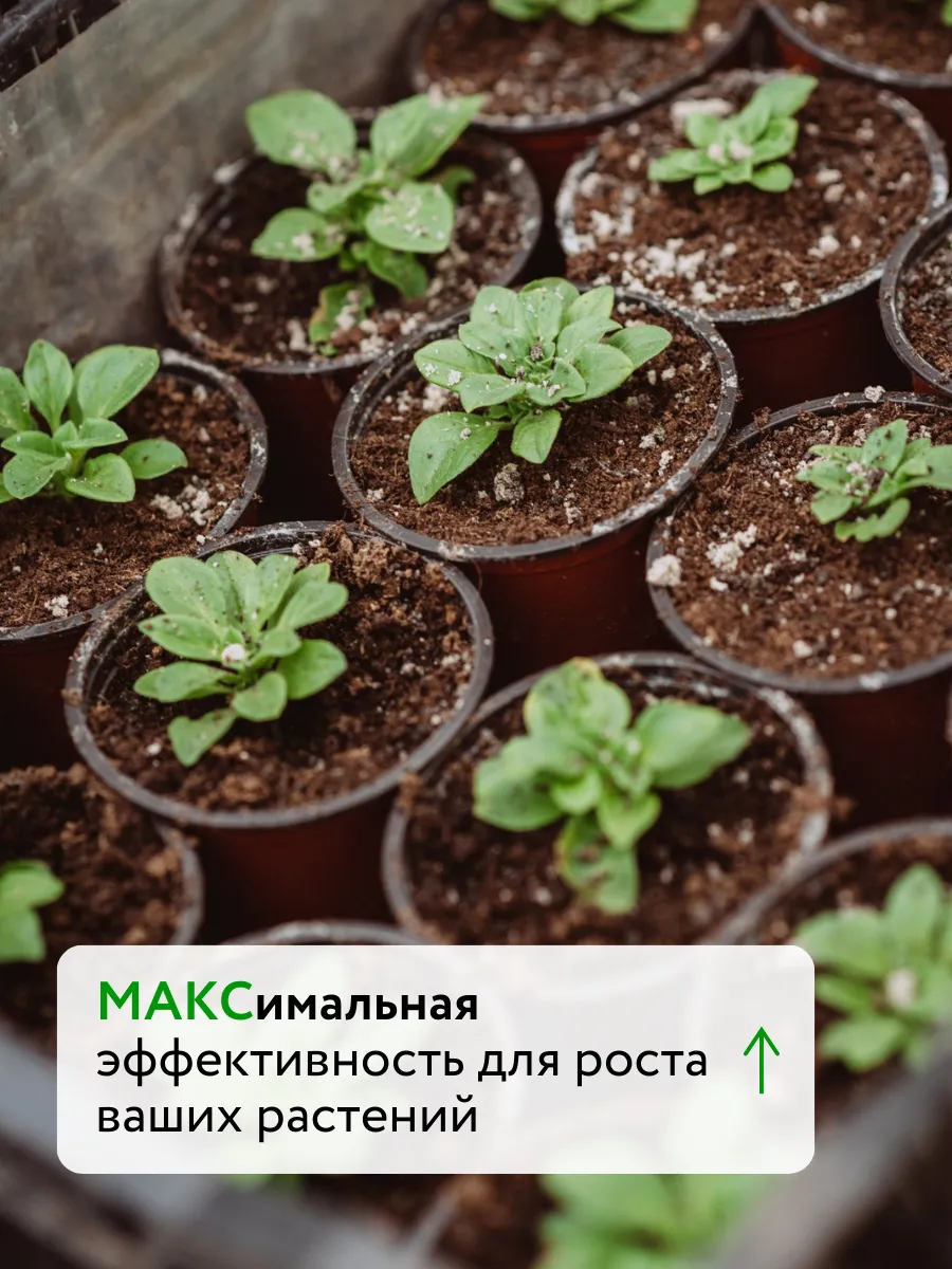 Удобрение для растений, биостимулятор Текамин Макс Плюс 5 л — фото 6