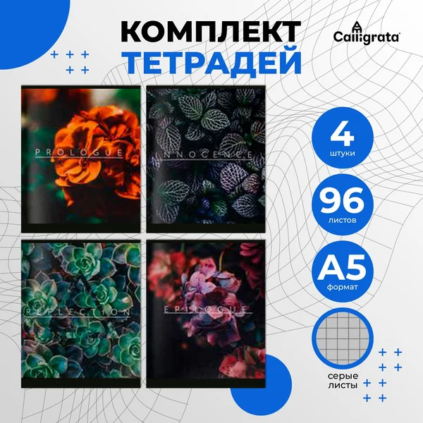Тетради предметные, 4 штуки, 96 листов в клетку