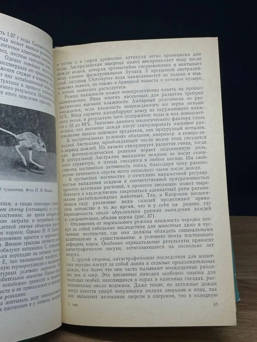 Основы общей экологии и охраны природы Издательство Ленинградского  университета 169656782 купить в интернет-магазине Wildberries