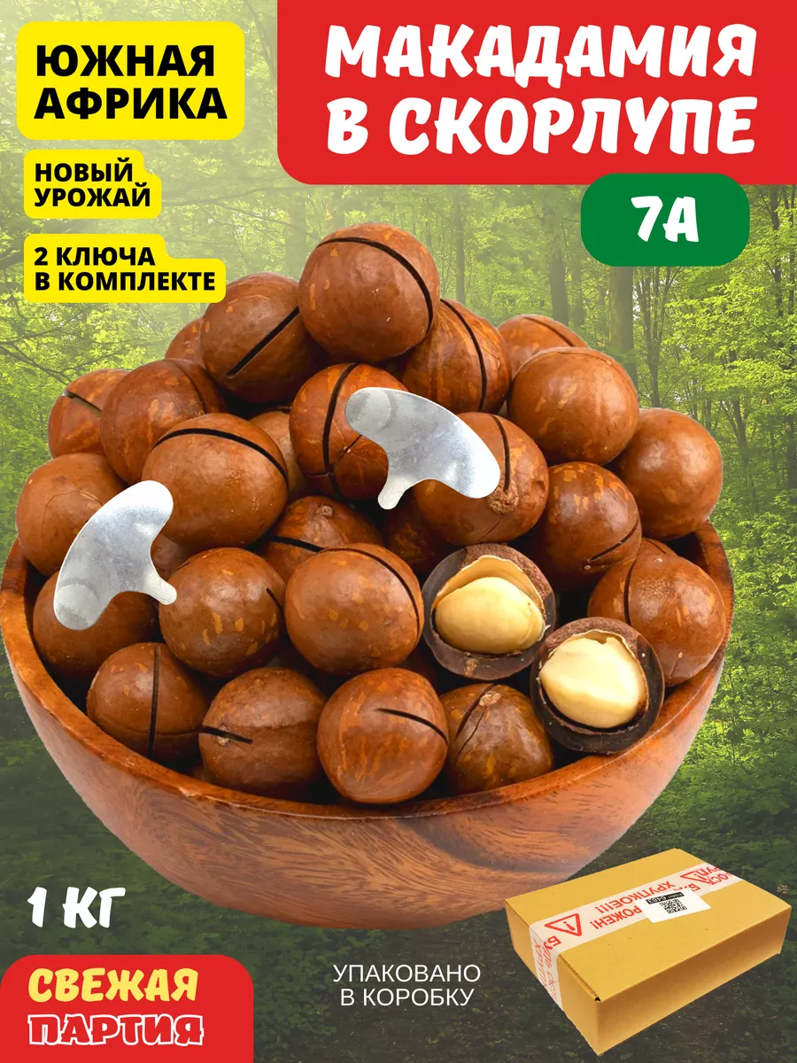 Макадамия орехи 7A, 1 кг, Новая партия NATURAL FRUT 169668757 купить за 916  ₽ в интернет-магазине Wildberries