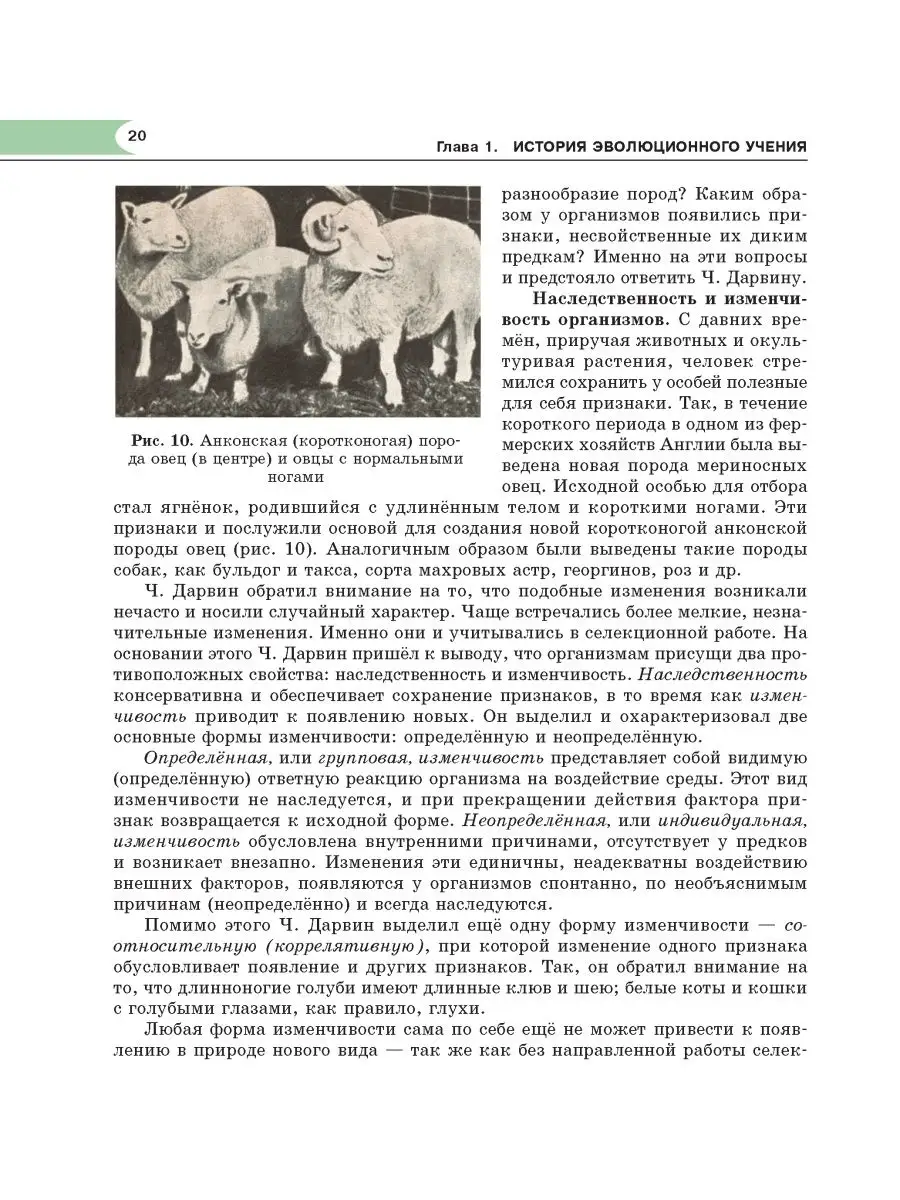 Поиск видео по запросу: Двое одну на природе