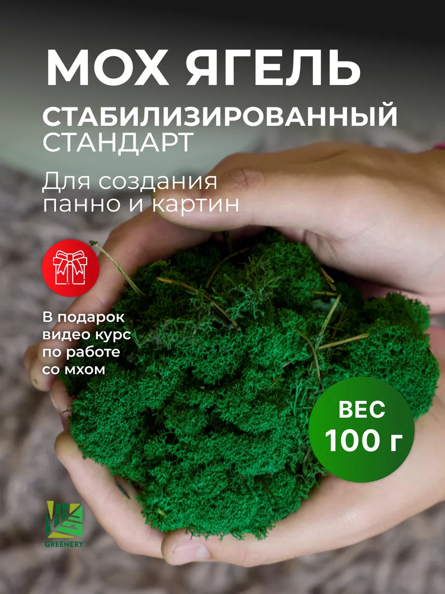 Мох Ягель стабилизированный STANDART №10 100 гр