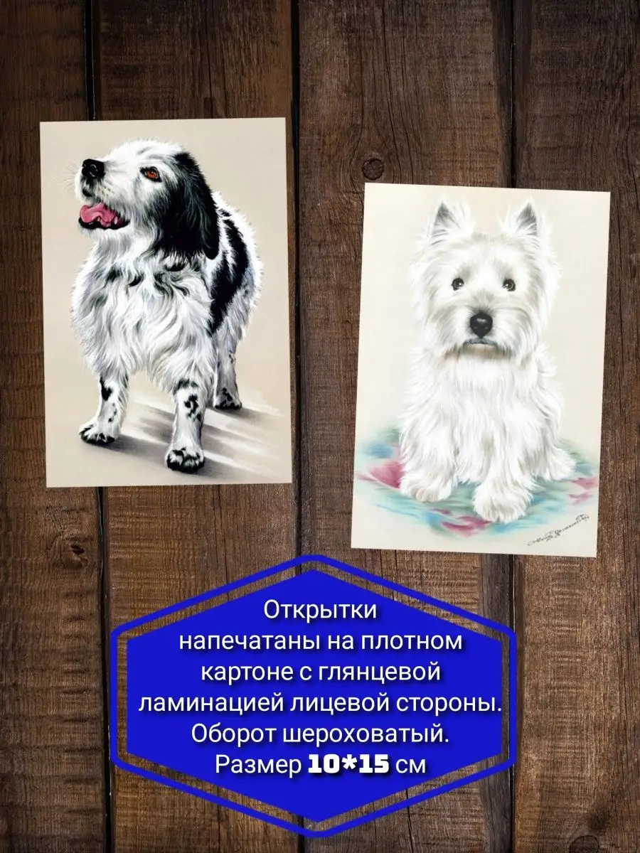 Забавные открытки к году Собаки - эталон62.рф