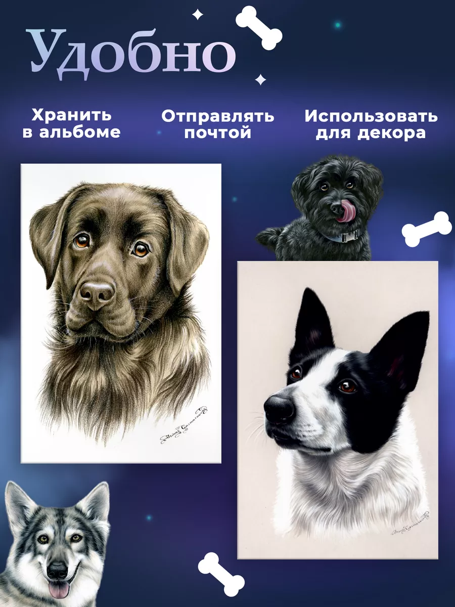 Винтажные открытки с собаками, лист №96