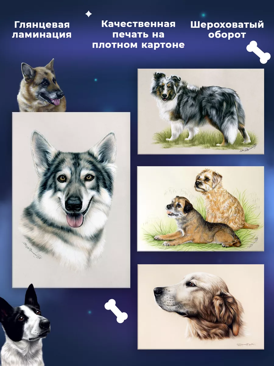 Гости «Берингии» смогут отправить с Камчатки открытки с собаками