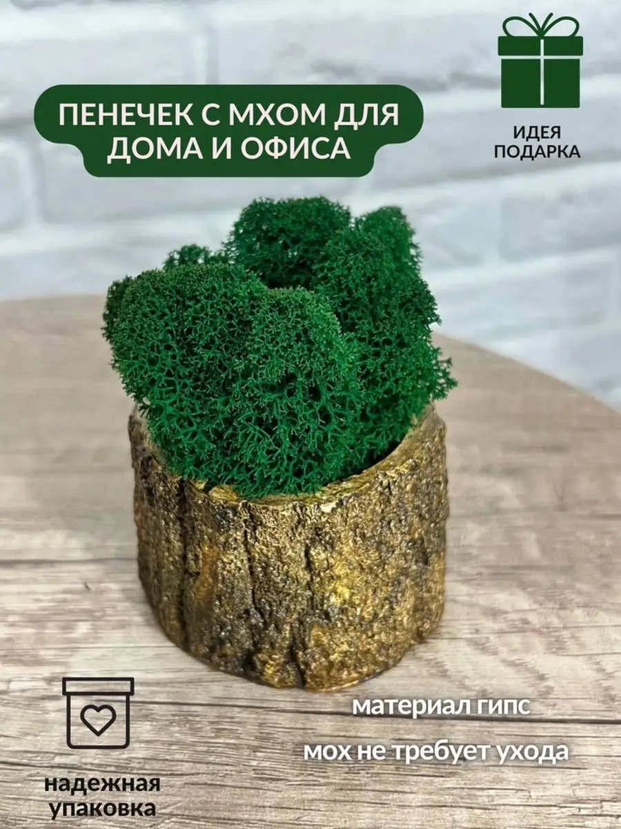 Пенек со стабилизированным мхом IDEA37 169688268 купить за 278 ₽ в  интернет-магазине Wildberries