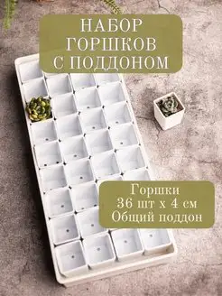 Набор горшки с поддоном для растений кактусов суккулентов Garden Emili 169759337 купить за 900 ₽ в интернет-магазине Wildberries