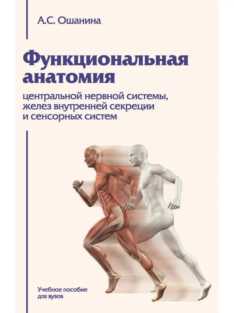 Функциональная анатомия центральной нервной системы