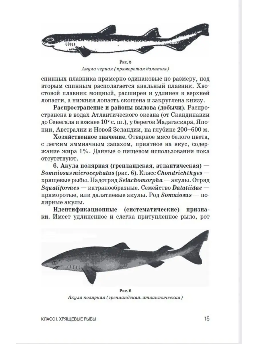 Атлас аннотированный Морские и океанические рыбы Издательство Лань  169847659 купить за 1 676 ₽ в интернет-магазине Wildberries