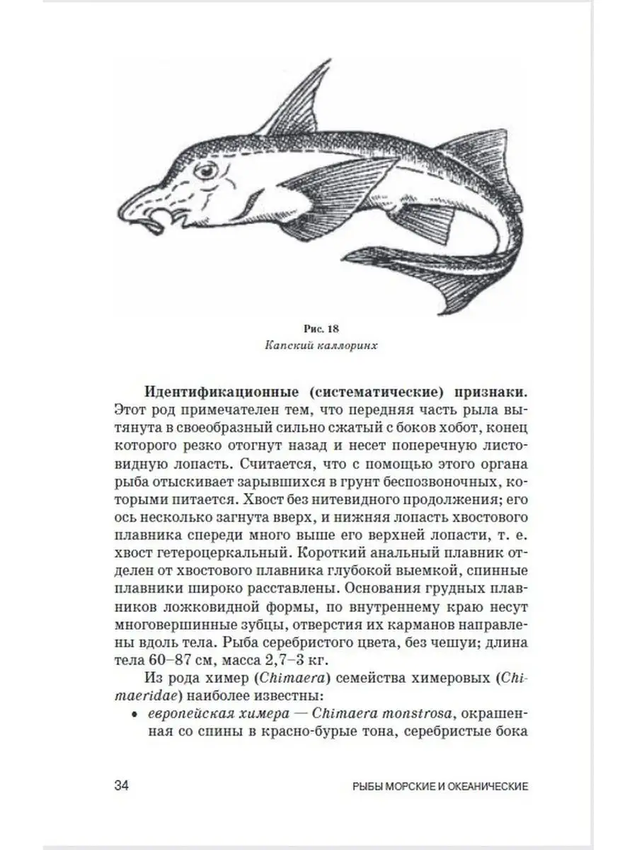 Рыбки скалярии – уход и содержание, описание, размножение, фото