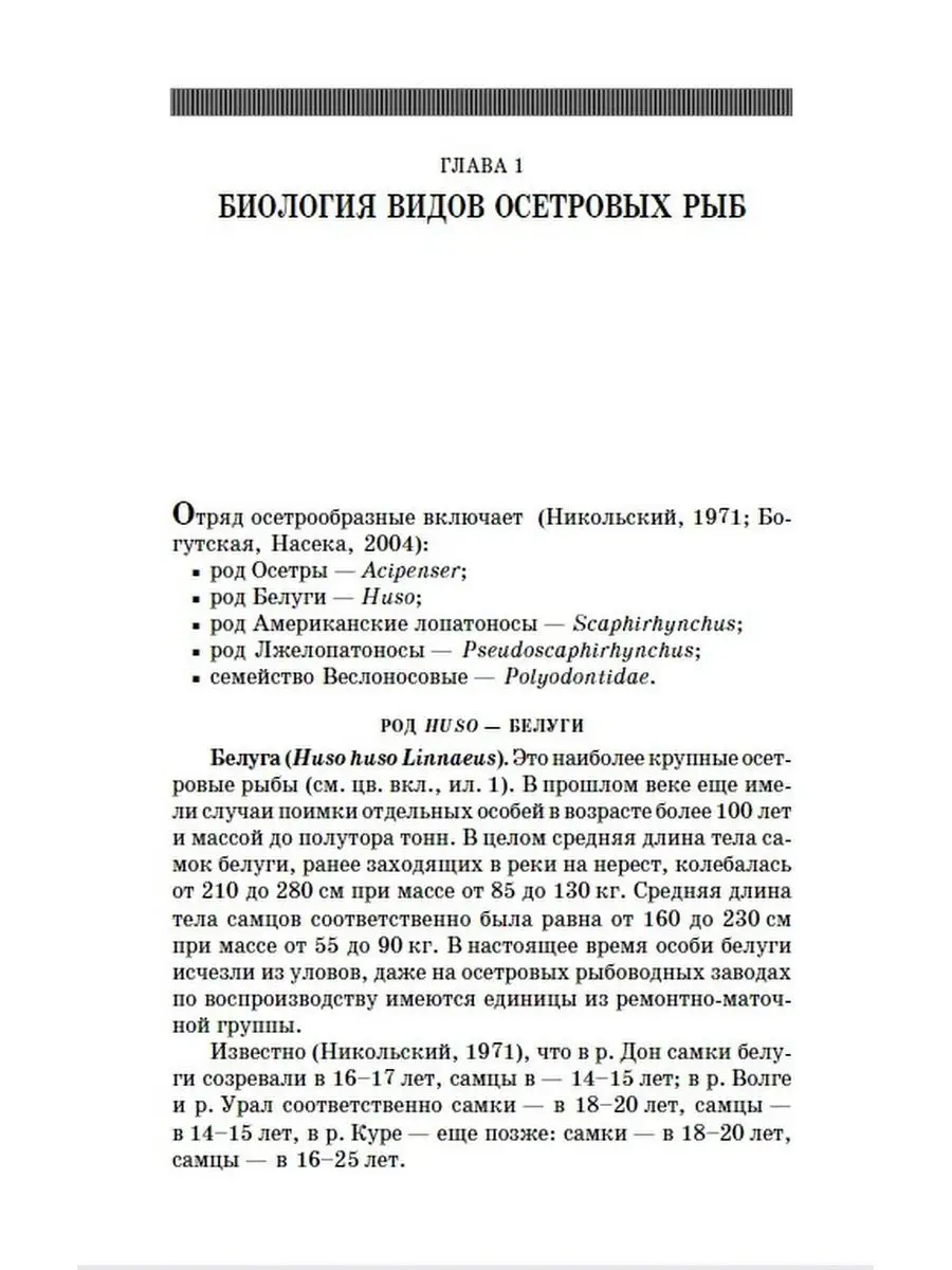 Осетроводство на интенсивной основе Учебное пособие для СПО Издательство  Лань 169848234 купить в интернет-магазине Wildberries