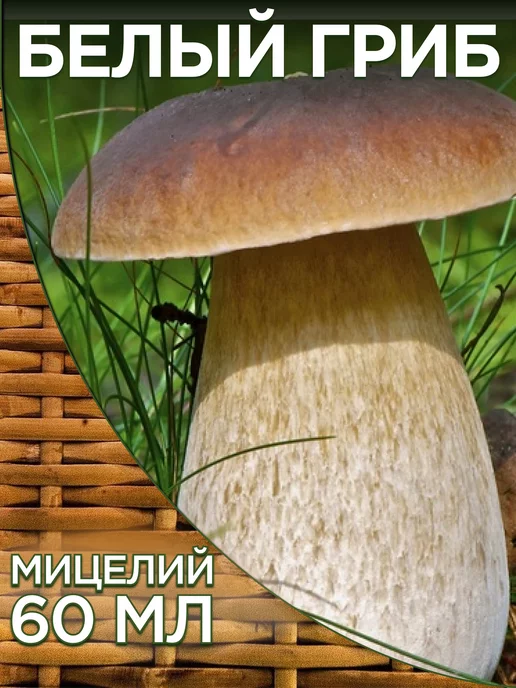 Вязаные грибы Вязаная еда Игровой набор Мухомор Подосиновик Боровик