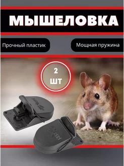 Набор мышеловок WMC Tools 169862214 купить за 218 ₽ в интернет-магазине Wildberries