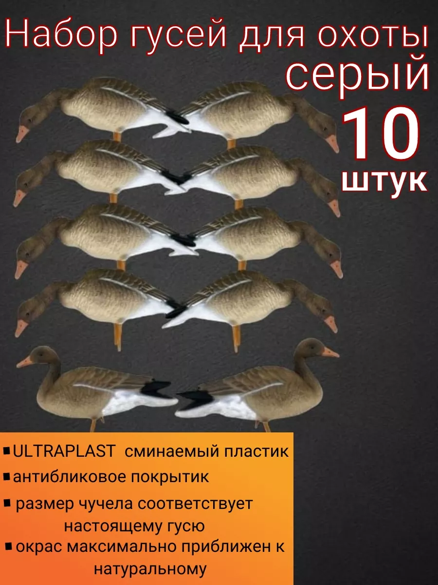 Чучело гуся гуменника