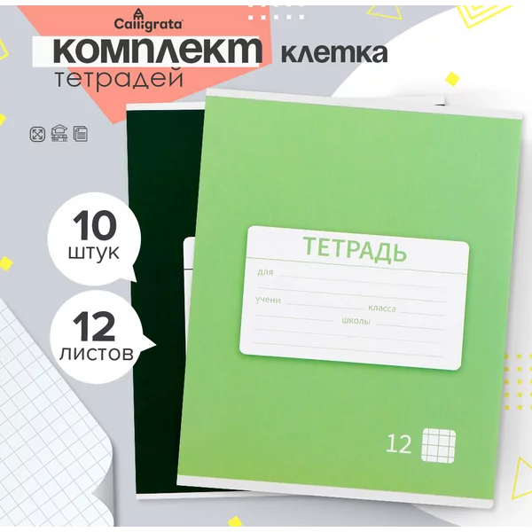 Тетради общие для школы, 10 штук, 12 листов в клетку
