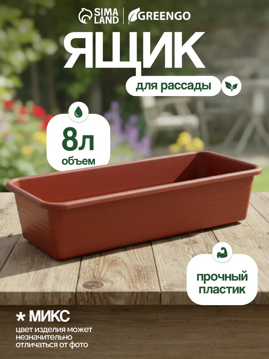 Ящик для рассады