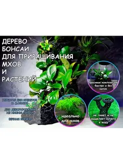 Вечная коряга бонсаи для аквариума Aqua Man 169923373 купить за 485 ₽ в интернет-магазине Wildberries