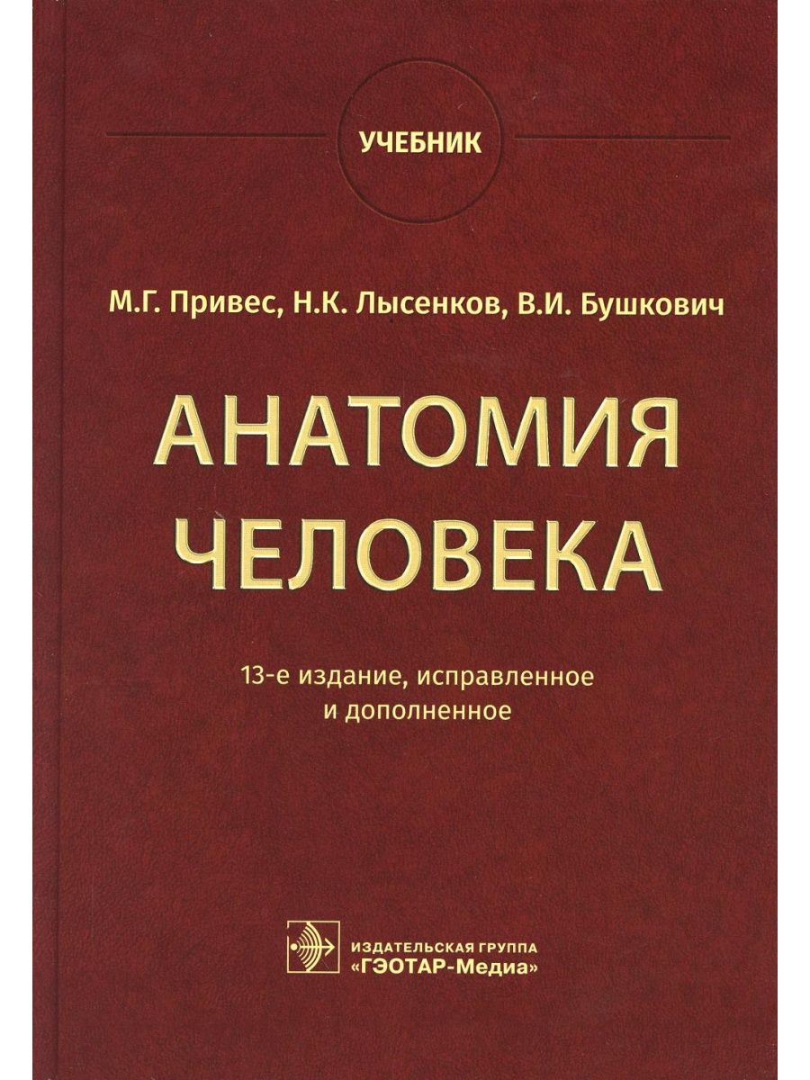 Анатомия человека: Учебник. 13-е изд., испр. и доп ГЭОТАР-Медиа 169924689  купить за 4 620 ₽ в интернет-магазине Wildberries