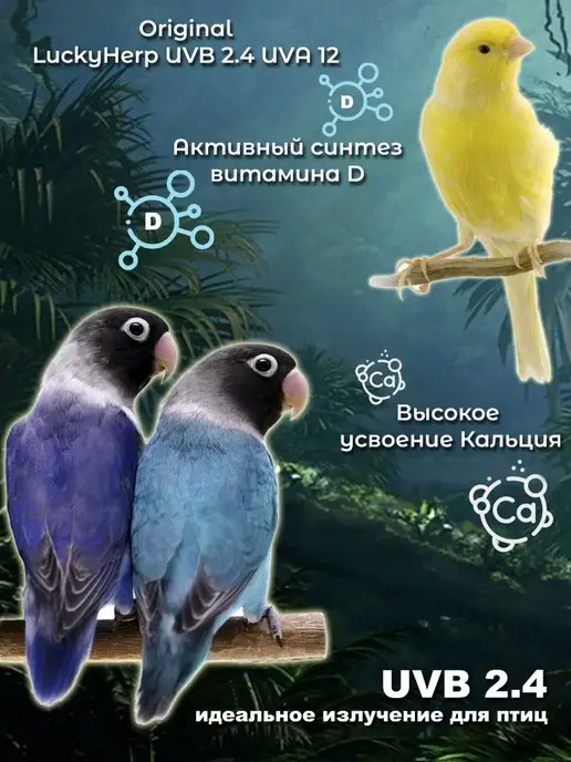 Lucky Herp УФ лампа для птиц попугаев UVB 2.4, белый, фото 3