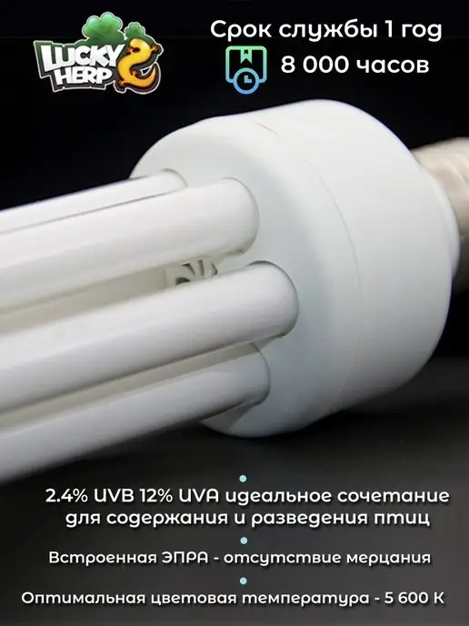 Lucky Herp УФ лампа для птиц попугаев UVB 2.4, белый, фото 4