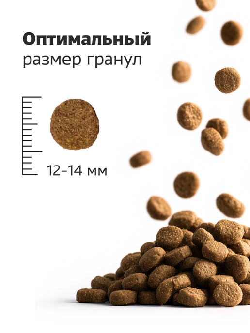 Сухой корм Smart Dog для собак, крупные, курица, 0,8 кг, фото 6