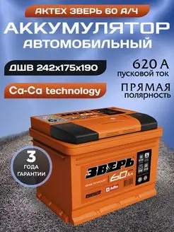 Аккумулятор автомобильный 60 12v прямая Зверь Ca-Ca АКТЕХ 170052363 купить за 6 420 ₽ в интернет-магазине Wildberries